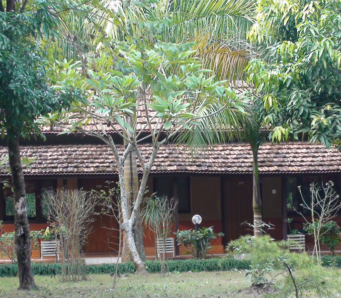 Image of Safari Narayani Hotel Pvt. Ltd.
